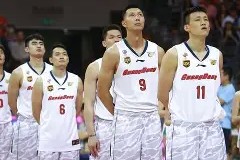 爱游戏体育官网-广东宏远历届队员名单