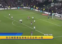 布莱顿官宣签约备战足总杯詹姆斯在日本队比赛中惊险取胜，冲刺阶段托特纳姆备战意大利杯瞬间刷屏的简单介绍